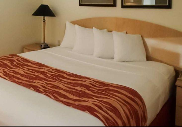 Rodeway Inn South Miami - Coral Gables Eksteriør bilde
